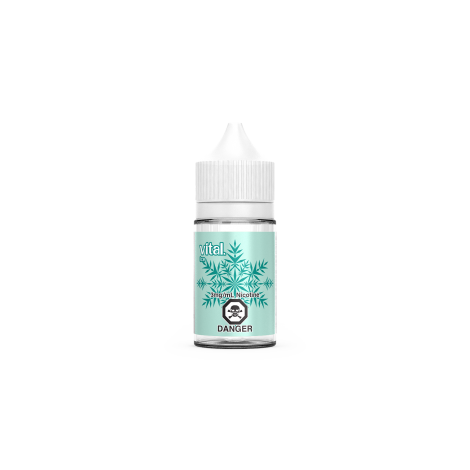 Ice E-Liquid (30ml) - Vital