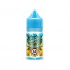 Mangabeys Iced SALTS - Twelve Monkeys E-Liquid